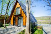 Aynur Forest A-Frame Houses - Chambres d’hôtes Quba