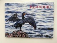 Ostseedomizil "Ankerbuk", Ferienwohnung Kormoran - B&B Born