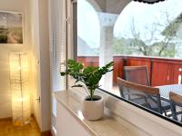 Appartamento con Terrazza