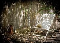 La Petite Digue - B&B Digne-les-Bains