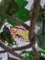 Kuća za Odmor Naša Priča - B&B Šipovo