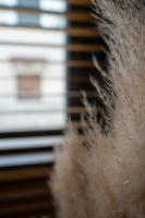 Superior Appartement met 2 Slaapkamers

