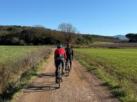 Dolce Vita Ferienwohnung - Massa Marittima mit Parkplatz - Bikeferien meernah - B&B