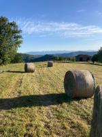 Evoluzioni - Agriturismo - Ferienwohnung