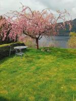 Sandeidfjorden overnatting - B&B