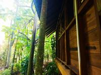 Jungle Face Inn - B&B Ella Town