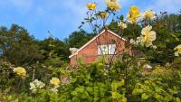Rose Cottage - B&B Ledbury