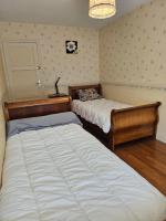 Single Bed in Mixed Dormitory Room