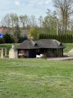 Cabin by the pond - B&B Wądołki Bućki