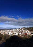 Cortijo Petra - B&B Villanueva del Rosario