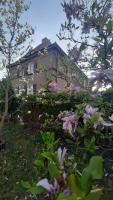 Apartament Magnolia - Centrum - B&B Nysa