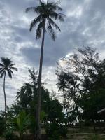 Moorea Reef Bungalows - Ferienwohnung