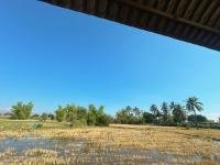 Ef farm - B&B Thôn An Thanh