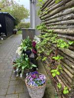 Kleiters Bed & Kitchen - B&B Copenhagen