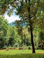 Hidden Gem on Hidden Valley Lane - B&B Harrell Corner