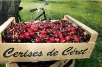 El refugio - B&B Reynès