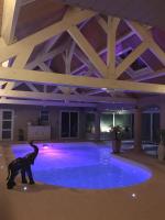Osiris Espace Piscine couverte et Chauffée - Bed and Breakfast Mesves-sur-Loire