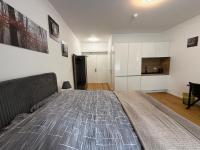 Deluxe 1 Room Apartment M-Daisy - B&B