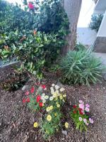 Oasis del Puerto Spacious Premium Apartment - B&B Puerto de la Cruz