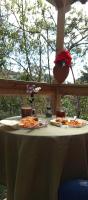 El Manantial Hospedaje - B&B