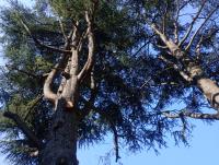 Casa Sabrina - B&B Savona