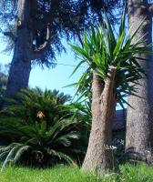 Casa Sabrina - Bed and Breakfast