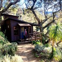 Mountain Cabin with Canyon Views near Pfeiffer Big Sur State Park, California - B&B