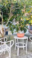 Casa Maria e giardino di limoni - Bed and Breakfast Castri di Lecce