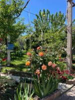 Guest House Miracle Garden - B&B Valona
