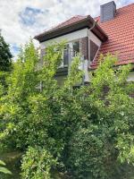 Forsthaus Wegenerskopf 10 Pers Natur & Ruhe - B&B Thale