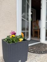 Privat Medo - Ferienwohnung Děpoltovice