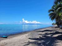 Villa Tiaiti - House Beach Access Sea with Pool - B&B Paea