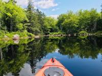 Bike, Hike, Relax -Cozy Stay by BLT & Bluff Trail - Bed and Breakfast Timberlea