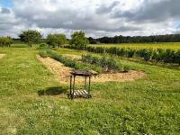 Maison dans les vignes - proche Chenonceau Beauval - B&B Saint-Georges-sur-Cher