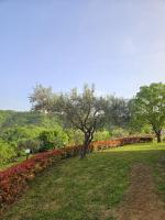 Green view apartment - B&B Koper