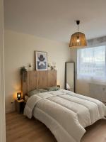 Appt Ideal groupes, prox Eurexpo - B&B Saint-Priest