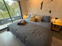 HOM I Parking, WiFi, Gym, AA, Acceso seguro - B&B Santiago