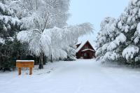 Totara Lodge - Unwind, Relax & Enjoy - Mt Lyford - Chambres d’hôtes
