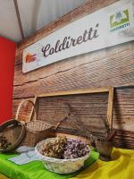 Lieve Agriglamping Experience - Ferienwohnung Albosaggia