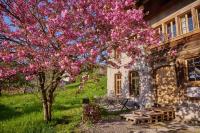 Baudenkmal Mühle Schalchen - Chambres d’hôtes Wildberg