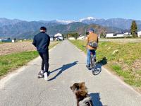 Guesthouse & Sharehouse カリマ安曇沓掛 - B&B Ōmachi