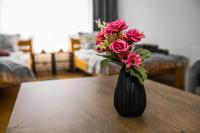 Cozy 2BDRM near University & Free Street Parking - Chambres d’hôtes Veliko Tarnovo