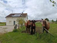 Maison de campagne - Ferienwohnung