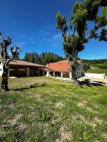 Le Grand Tissac Maison dans le Quercy - Ferienwohnung Cazes-Mondenard