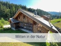 Chalet am Oberhausberg, Region Schladming Dachstein - Chambres d’hôtes Haus im Ennstal