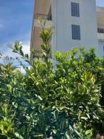 Dario's Apartaments 2 - B&B Orikum