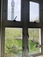 Flat 4 with lift Beautiful Garden View of Historic Georgian Square - Chambres d'hôtes Londres