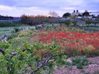 Marazur - B&B Poggiardo