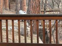 Willowhaven - B&B Ruidoso