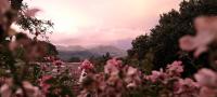 Never Daunted - B&B